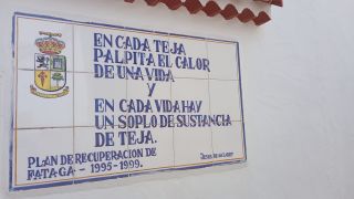GC-Fataga 2026-066.jpg